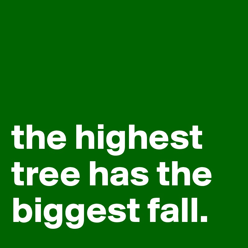 


the highest tree has the biggest fall.
