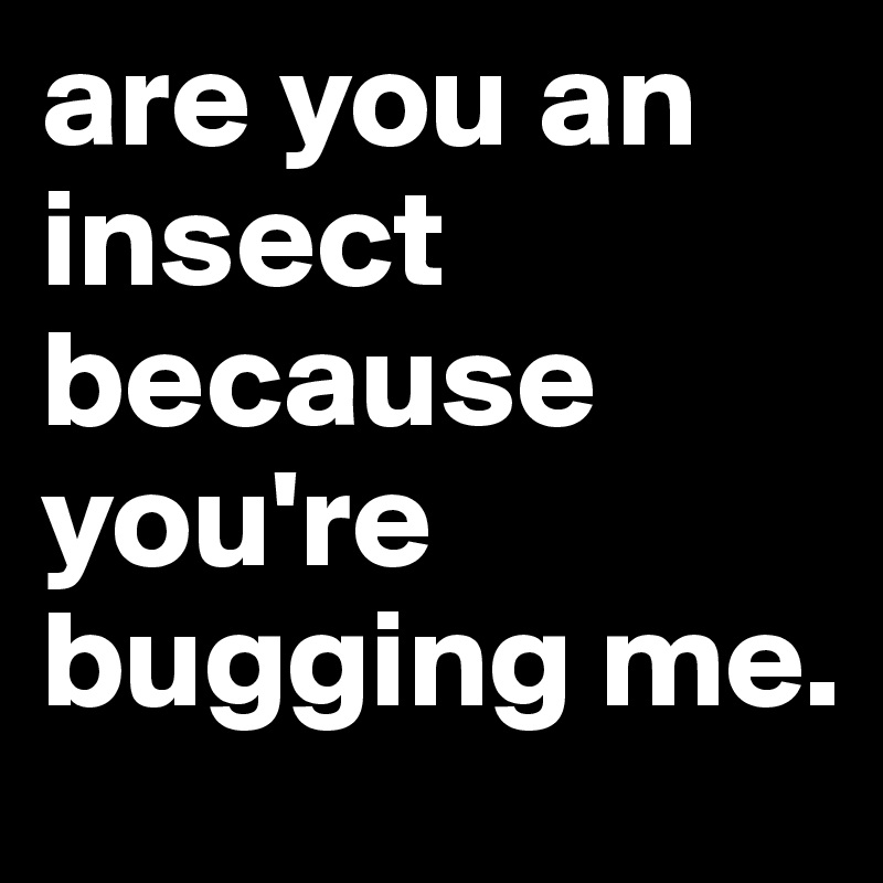 are you an insect because you're bugging me.
