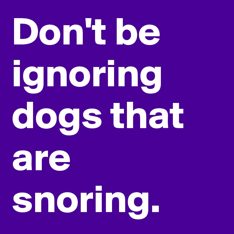 Don't be ignoring dogs that are snoring.