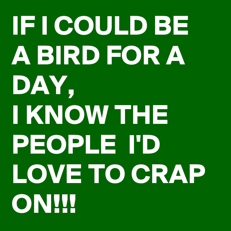IF I COULD BE A BIRD FOR A DAY, 
I KNOW THE PEOPLE  I'D LOVE TO CRAP ON!!!