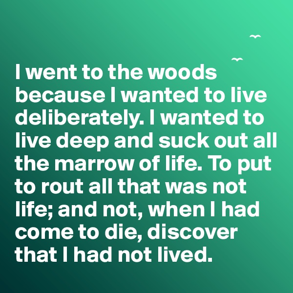                                                      ?
                                                 ?
I went to the woods        
because I wanted to live deliberately. I wanted to live deep and suck out all the marrow of life. To put to rout all that was not life; and not, when I had come to die, discover 
that I had not lived.   