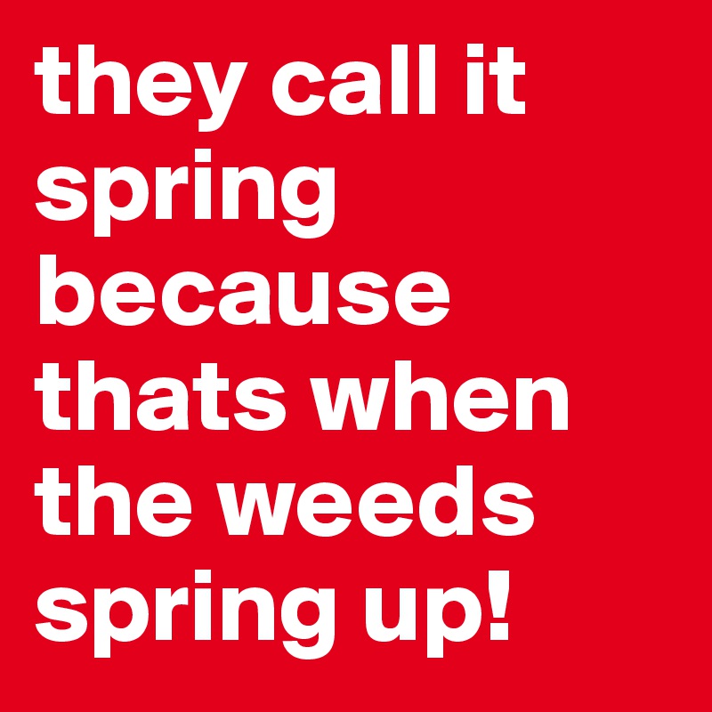they call it spring because thats when the weeds spring up!
