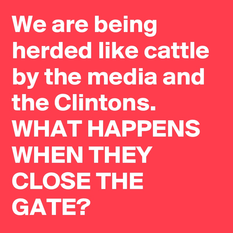 We are being herded like cattle by the media and the Clintons. WHAT HAPPENS WHEN THEY CLOSE THE GATE?