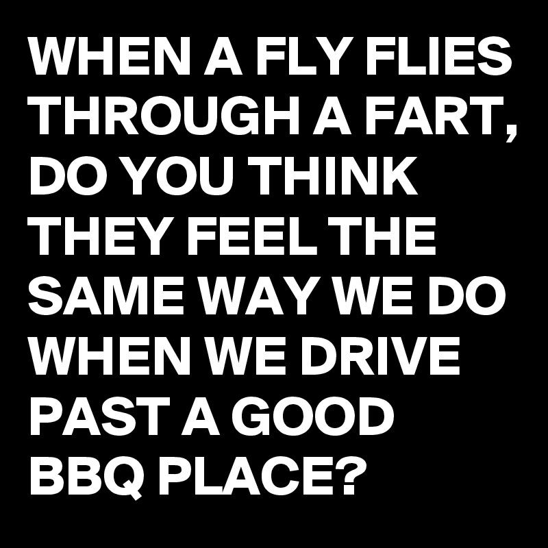 WHEN A FLY FLIES THROUGH A FART, DO YOU THINK THEY FEEL THE SAME WAY WE DO WHEN WE DRIVE PAST A GOOD BBQ PLACE?
