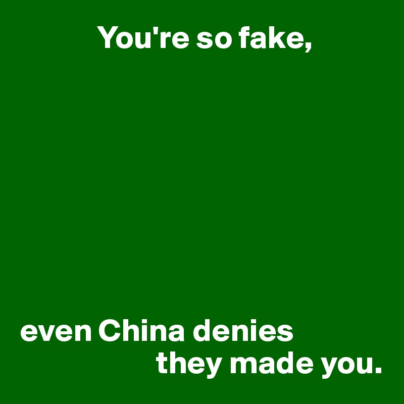             You're so fake,








even China denies
                     they made you.