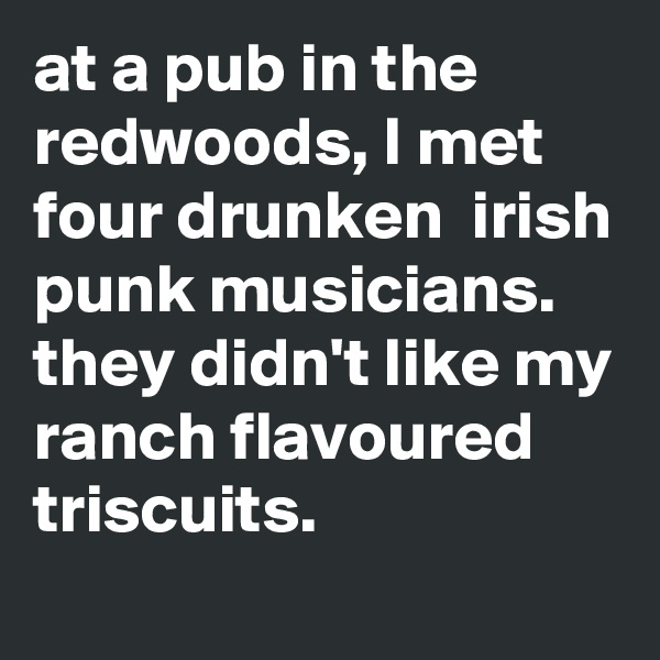 at a pub in the redwoods, I met four drunken  irish punk musicians.
they didn't like my ranch flavoured triscuits.