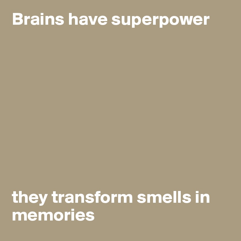 Brains have superpower









they transform smells in memories