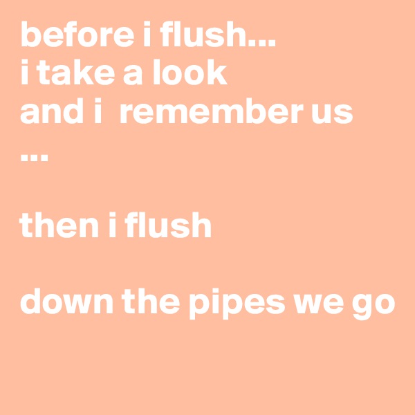 before i flush...
i take a look 
and i  remember us 
...

then i flush

down the pipes we go
