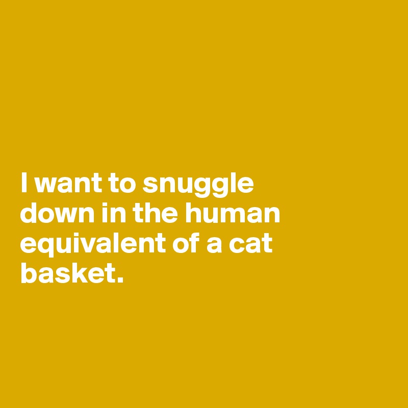 




I want to snuggle 
down in the human equivalent of a cat 
basket.


