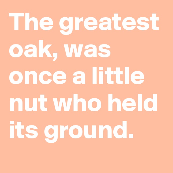 The greatest oak, was once a little nut who held its ground.