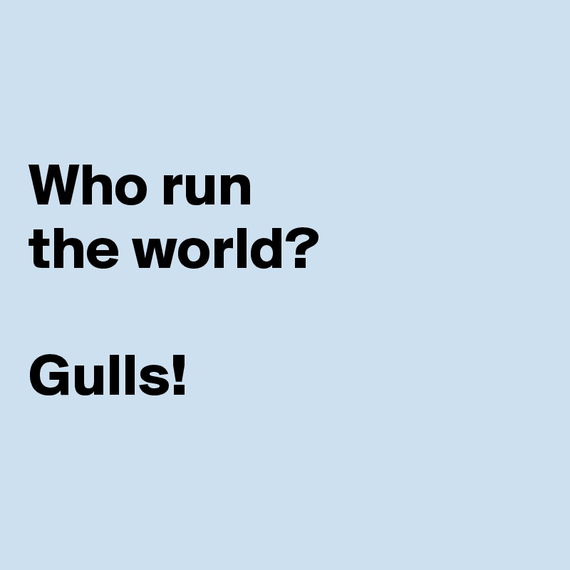 

Who run 
the world? 

Gulls! 

