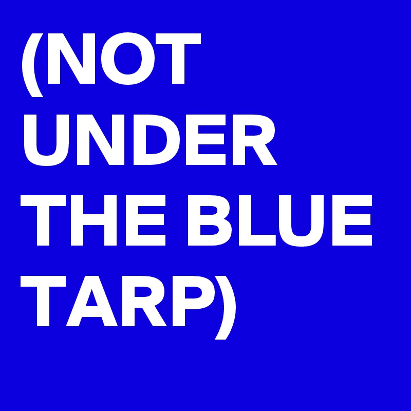 (NOT UNDER THE BLUE TARP)