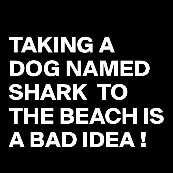 
TAKING A DOG NAMED SHARK  TO THE BEACH IS A BAD IDEA !