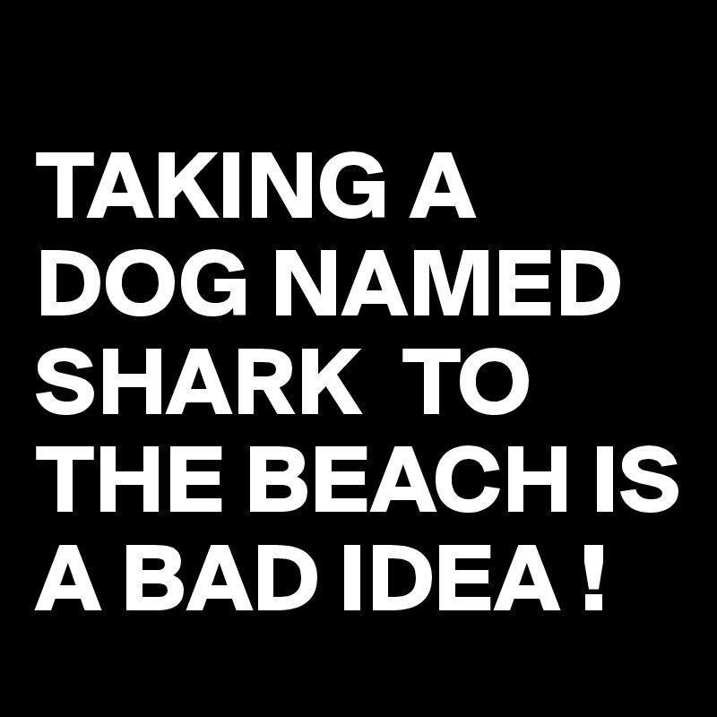
TAKING A DOG NAMED SHARK  TO THE BEACH IS A BAD IDEA !