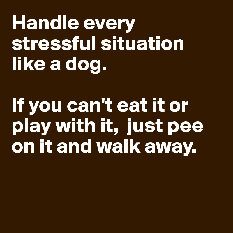 Handle every stressful situation like a dog.

If you can't eat it or play with it,  just pee on it and walk away.


