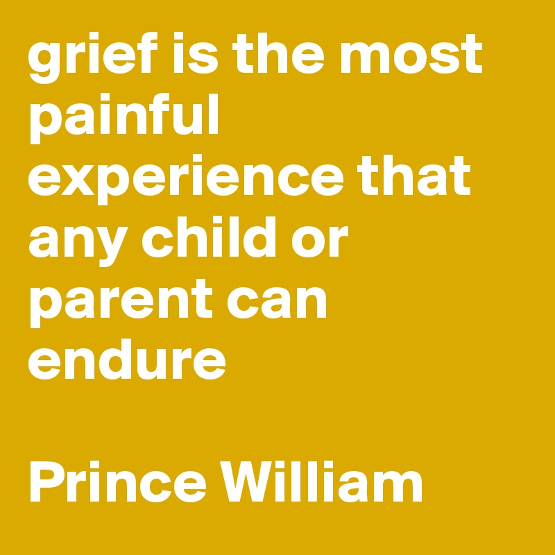 grief is the most painful experience that any child or parent can endure

Prince William