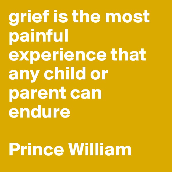 grief is the most painful experience that any child or parent can endure

Prince William