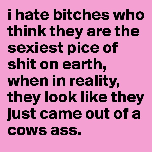 i hate bitches who think they are the sexiest pice of shit on earth, when in reality, they look like they just came out of a cows ass. 
