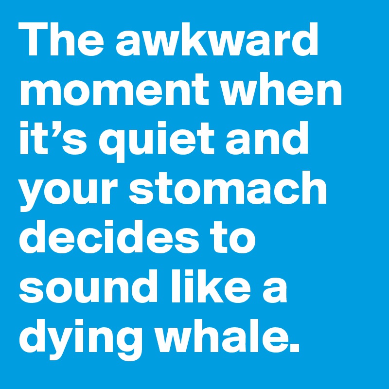 The awkward moment when it’s quiet and your stomach decides to sound like a dying whale.