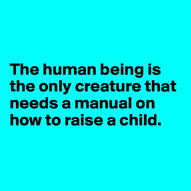 


The human being is the only creature that needs a manual on how to raise a child.


