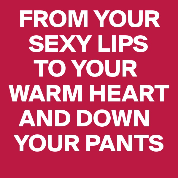   FROM YOUR 
    SEXY LIPS 
     TO YOUR
WARM HEART 
  AND DOWN 
 YOUR PANTS