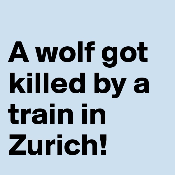 
A wolf got killed by a train in Zurich! 