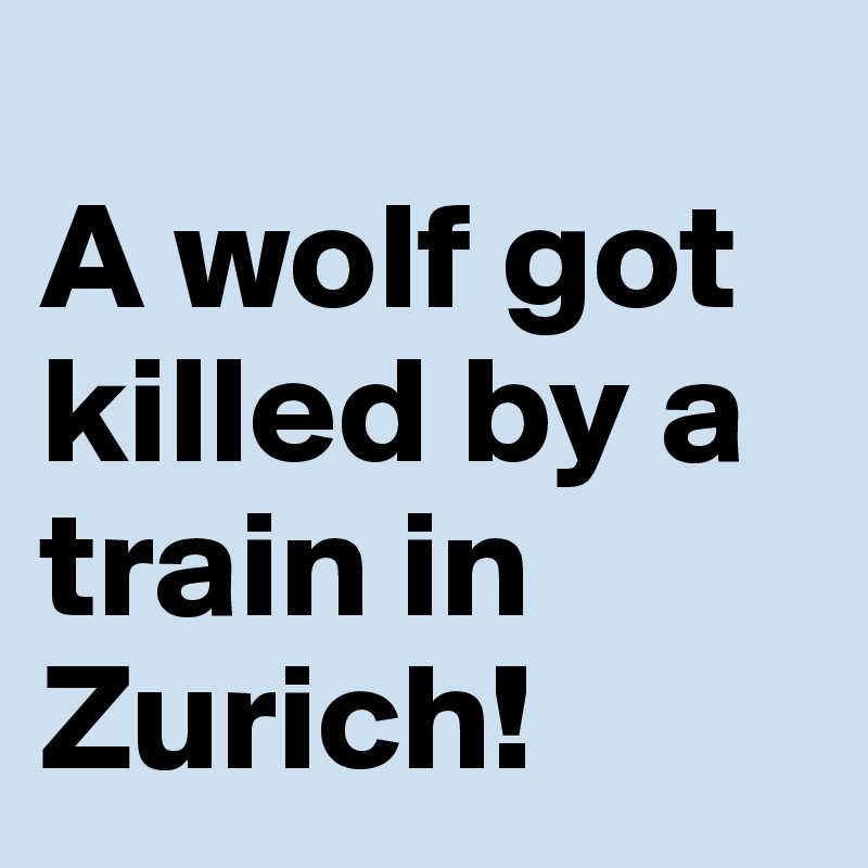 
A wolf got killed by a train in Zurich! 