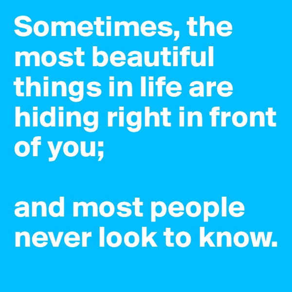Sometimes, the most beautiful things in life are hiding right in front of you;

and most people never look to know.