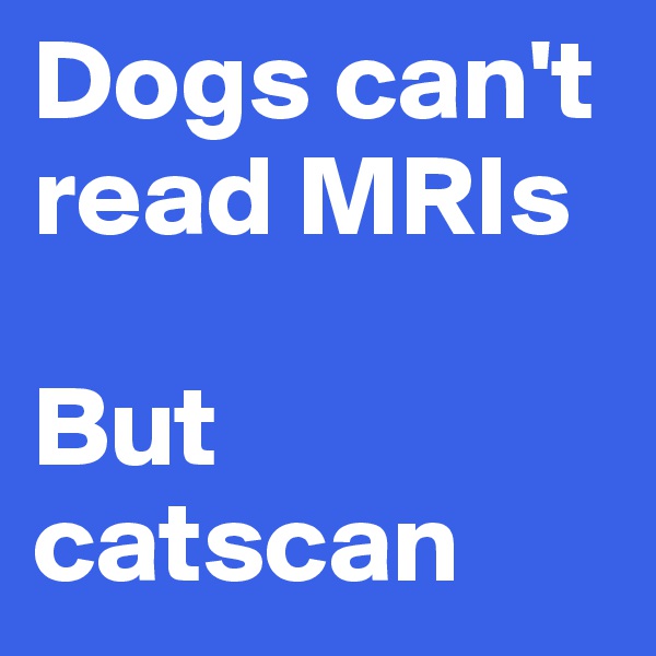 Dogs can't read MRIs

But catscan