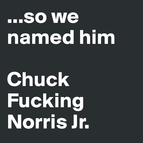...so we named him

Chuck Fucking Norris Jr. 
