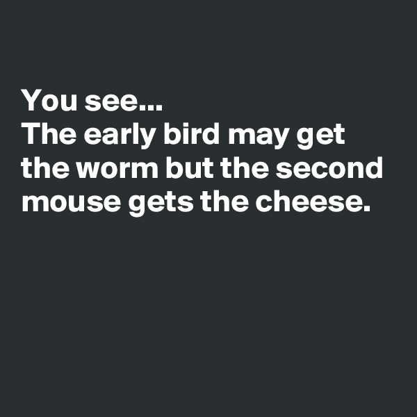 
You see...
The early bird may get the worm but the second mouse gets the cheese.





