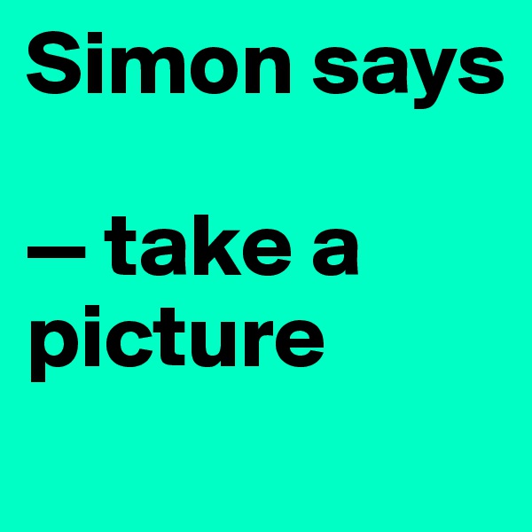 Simon says

— take a picture
