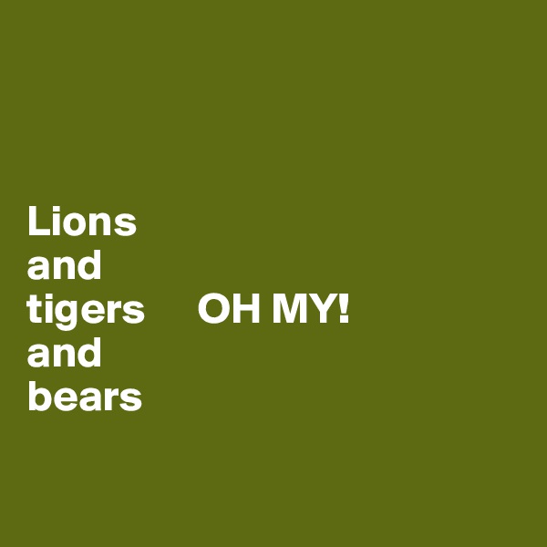 



Lions
and
tigers      OH MY! 
and
bears

