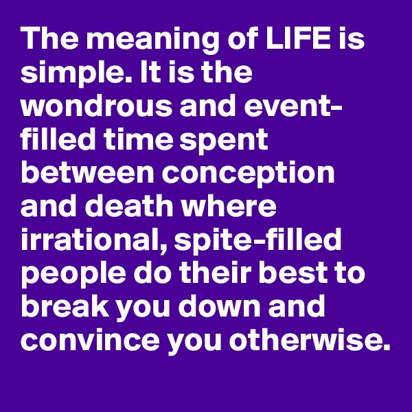 The meaning of LIFE is simple. It is the wondrous and event-filled time spent between conception and death where irrational, spite-filled people do their best to break you down and convince you otherwise.