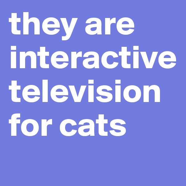 they are interactive television for cats