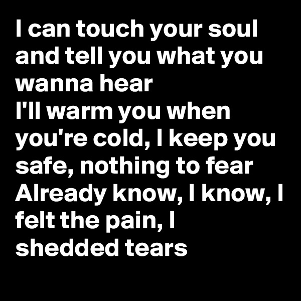 I can touch your soul and tell you what you wanna hear
I'll warm you when you're cold, I keep you safe, nothing to fear
Already know, I know, I felt the pain, I shedded tears