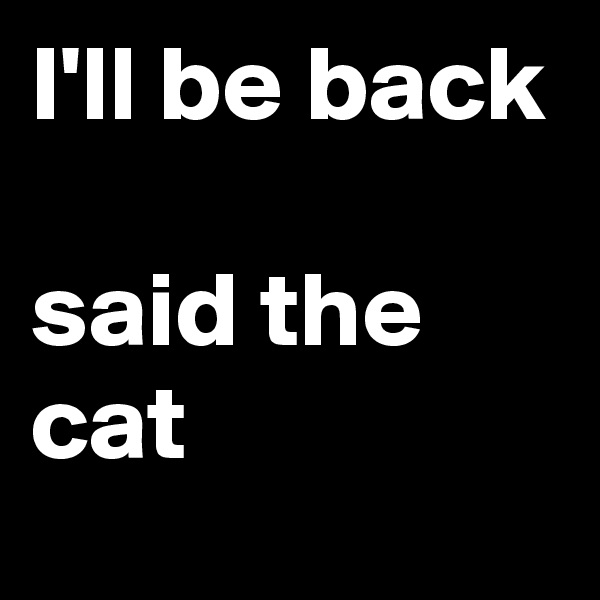 I'll be back

said the cat
