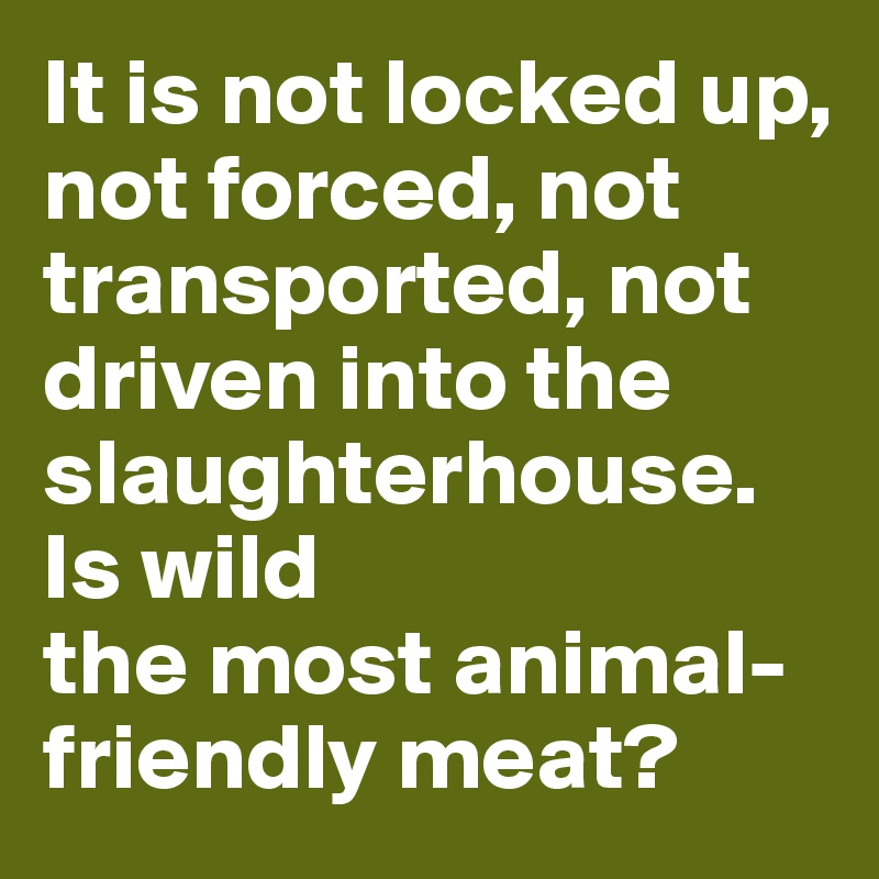 It is not locked up, not forced, not transported, not driven into the slaughterhouse. Is wild 
the most animal-friendly meat?