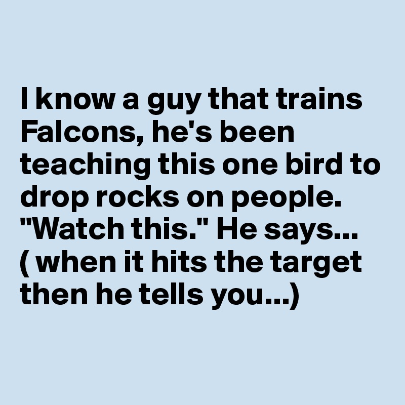 

I know a guy that trains Falcons, he's been teaching this one bird to drop rocks on people.  "Watch this." He says...( when it hits the target then he tells you...)

