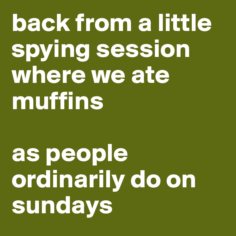 back from a little spying session where we ate muffins

as people ordinarily do on sundays