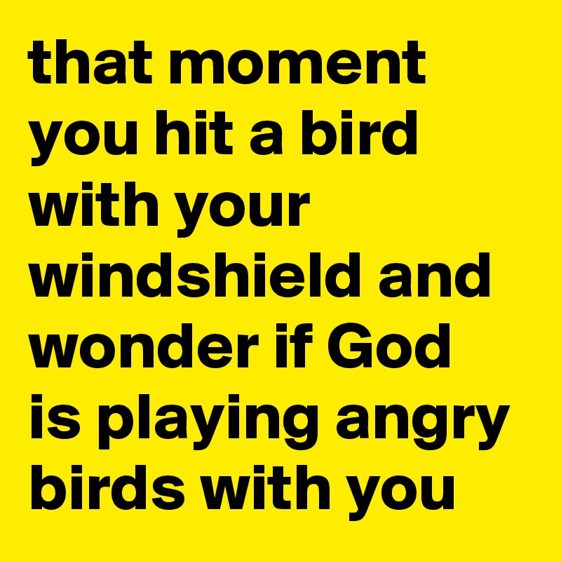that moment you hit a bird with your windshield and wonder if God is playing angry birds with you