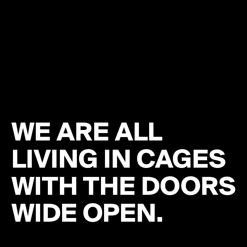 



WE ARE ALL LIVING IN CAGES WITH THE DOORS WIDE OPEN.