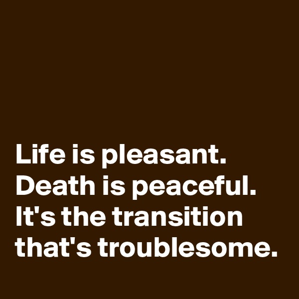 



Life is pleasant. Death is peaceful. It's the transition that's troublesome.