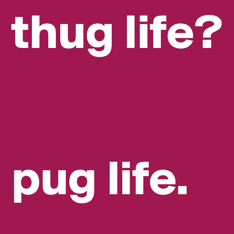 thug life?


pug life. 