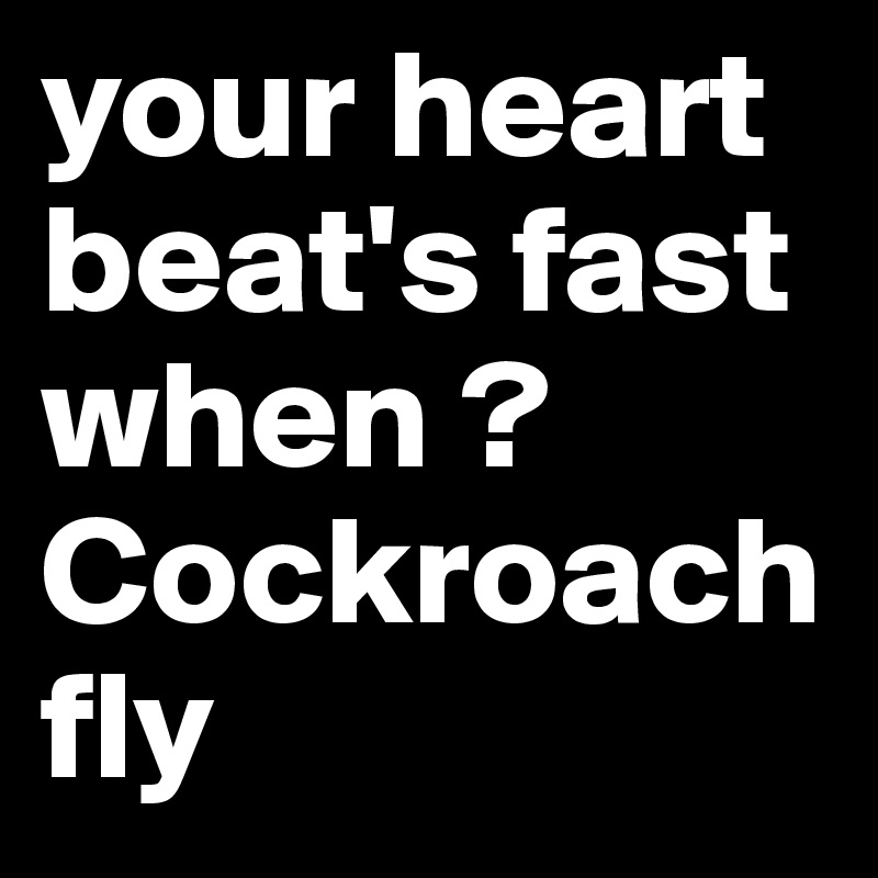 your heart beat's fast when ? Cockroach fly 