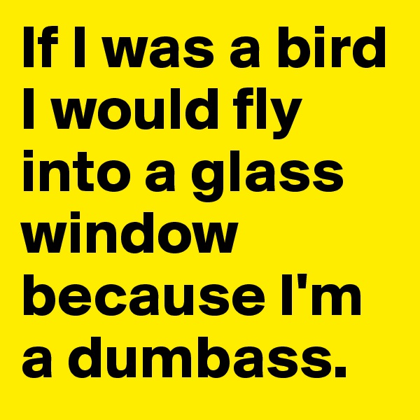 If I was a bird I would fly into a glass window because I'm a dumbass.