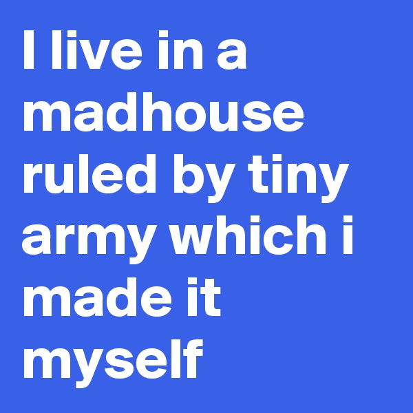 I live in a madhouse ruled by tiny army which i made it myself
