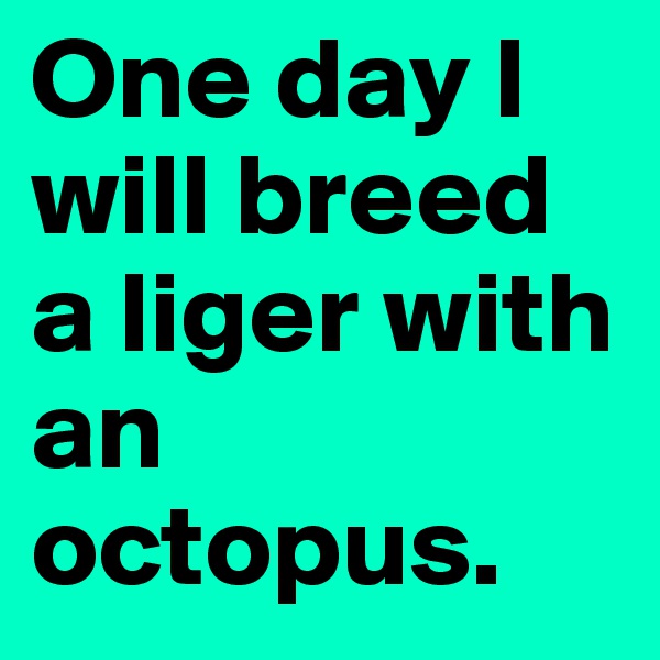 One day I will breed a liger with an octopus. 