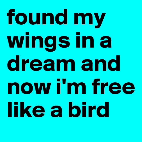 found my wings in a dream and now i'm free like a bird