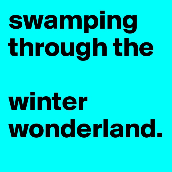 swamping through the  

winter wonderland.